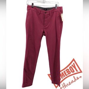 Express Fuchsia Pants